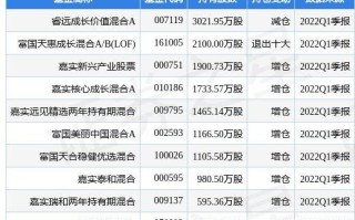 尚太科技股票价格上涨，中庚价值先锋股票基金持股情况分析