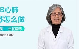 PLT医学是什么意思