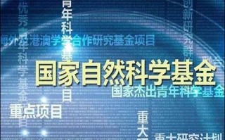 中加优悦一年定开债券基金分红解析投资者的收益与市场策略