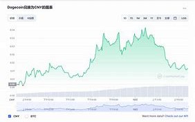 狗狗币2021年初价格