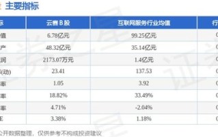 云赛B股主力资金净卖出分析市场动态与投资策略