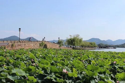 9月份杭州旅游攻略