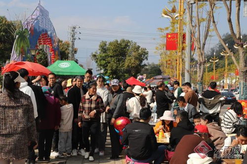 过年期间去云南旅游需要准备什么