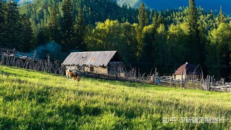 新疆旅游酒店涨价-第1张图片-链上币闻