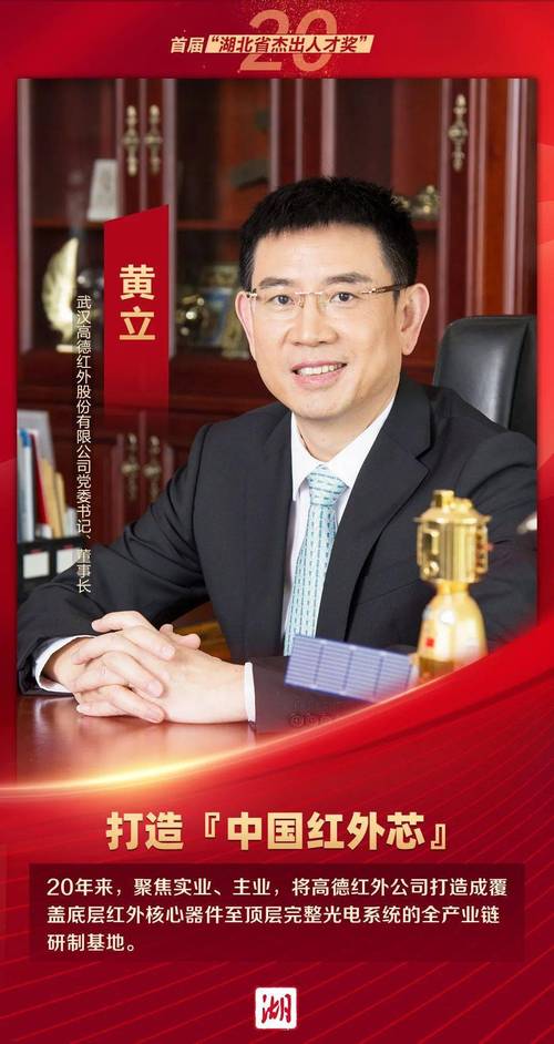 黄石东贝集团党委书记,董事长杨百昌发言.鄢巍  摄