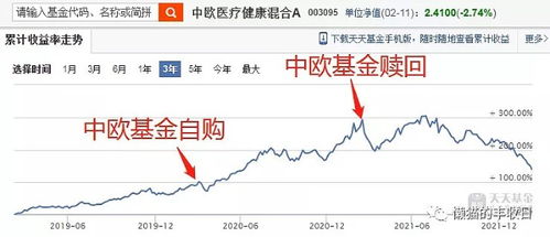 工银瑞盛一年定开纯债债券发起式基金稳健投资的新选择-第1张图片-链上币闻