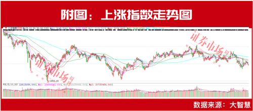 望尘科技控股宣布派发末期股息投资者的福音与市场的新动向