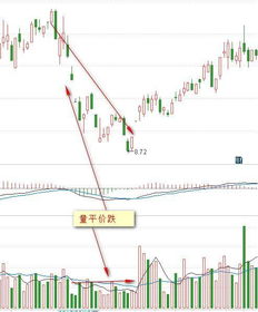 华宝基金高股息策略下的核心资产配置与市场展望