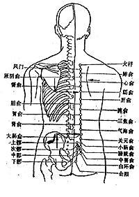 维亚生物盘中异动股价大涨%报港元