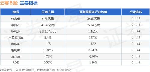 云赛B股主力资金净卖出分析市场动态与投资策略-第1张图片-链上币闻