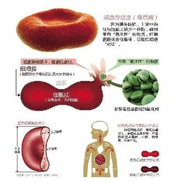 飞扬集团盘中异动早盘大幅下挫%报港元