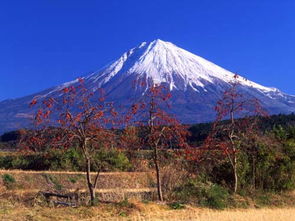 微特稿·社会与生活日本富士山山顶附近发现三名死者