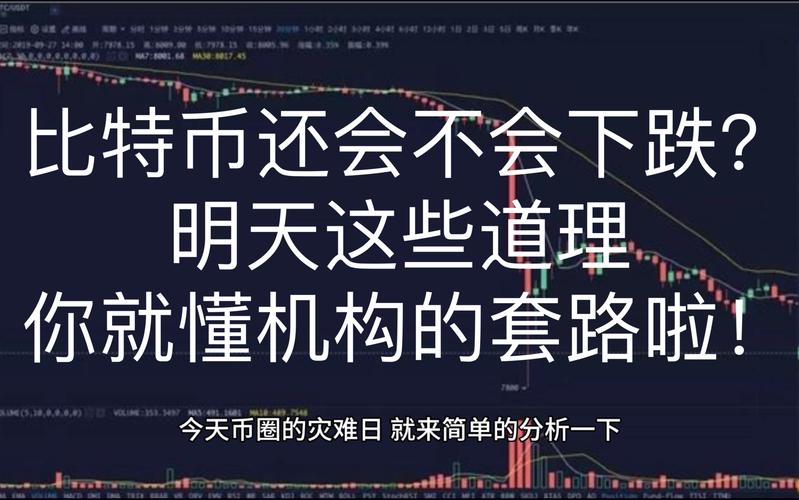 比特币暴跌揭秘背后的故事与教训-第1张图片-链上币闻