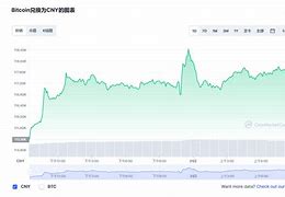 比特币升值的历史分析文化、经济、政治和社会因素的综合考察-第1张图片-链上币闻