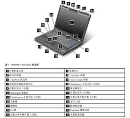 极兔速递午后涨超%公司业务量有望保持快速增长