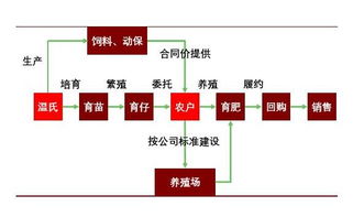 温氏股份：公司肉猪养殖综合成本已进入年初制定目标区间