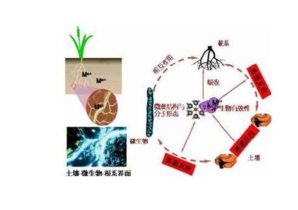 图中的问答收益怎么算