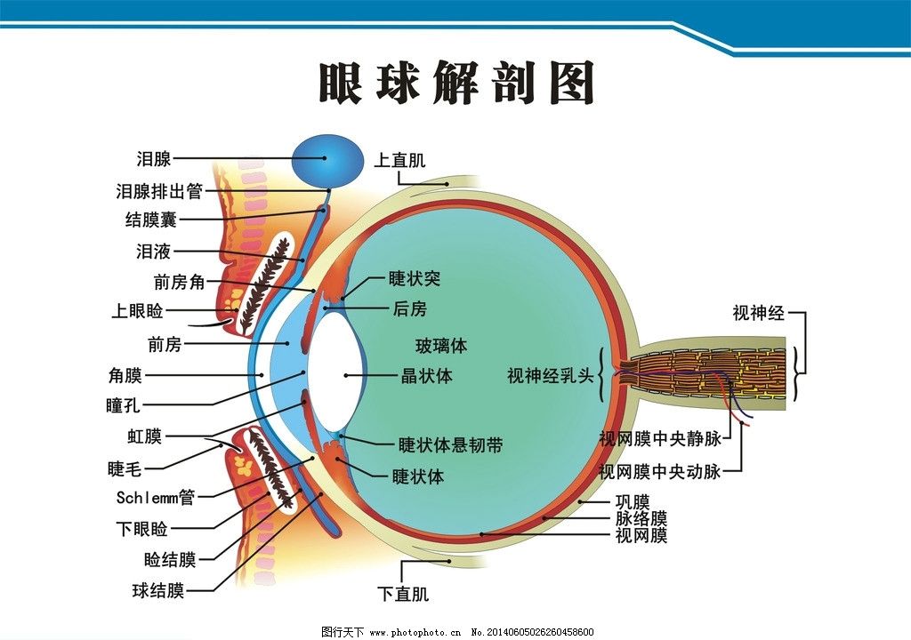 保险经营许可证怎么办