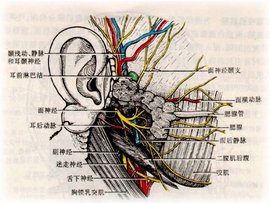 悟空问答的钱怎么拿到