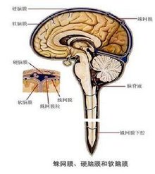 亚兴交通科技怎么样