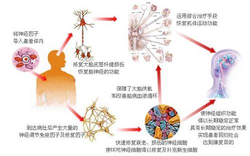 疫情治疗的科技创新(疫情考研国家线吗)