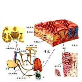 券商理财怎么算年化利率