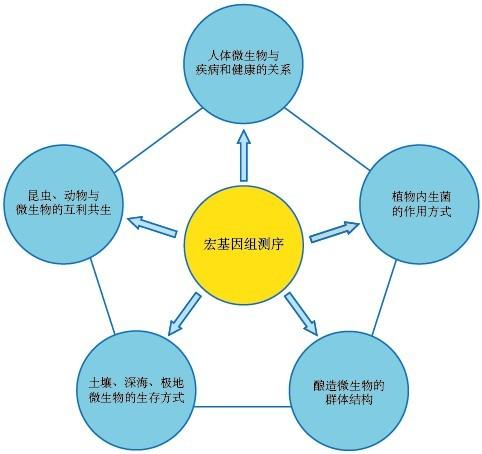 科技者创新未来(科技股为什么上涨)