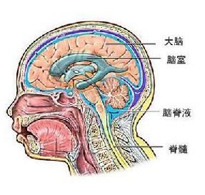 天刀手游如何卖号(天刀手游如何应用分身)