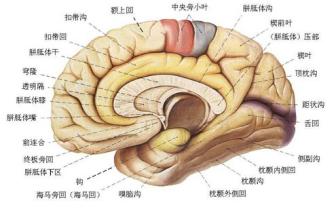 卖出基金怎么算收益