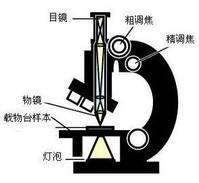 维护基金怎么交(维沃叉七手机的价格百科)