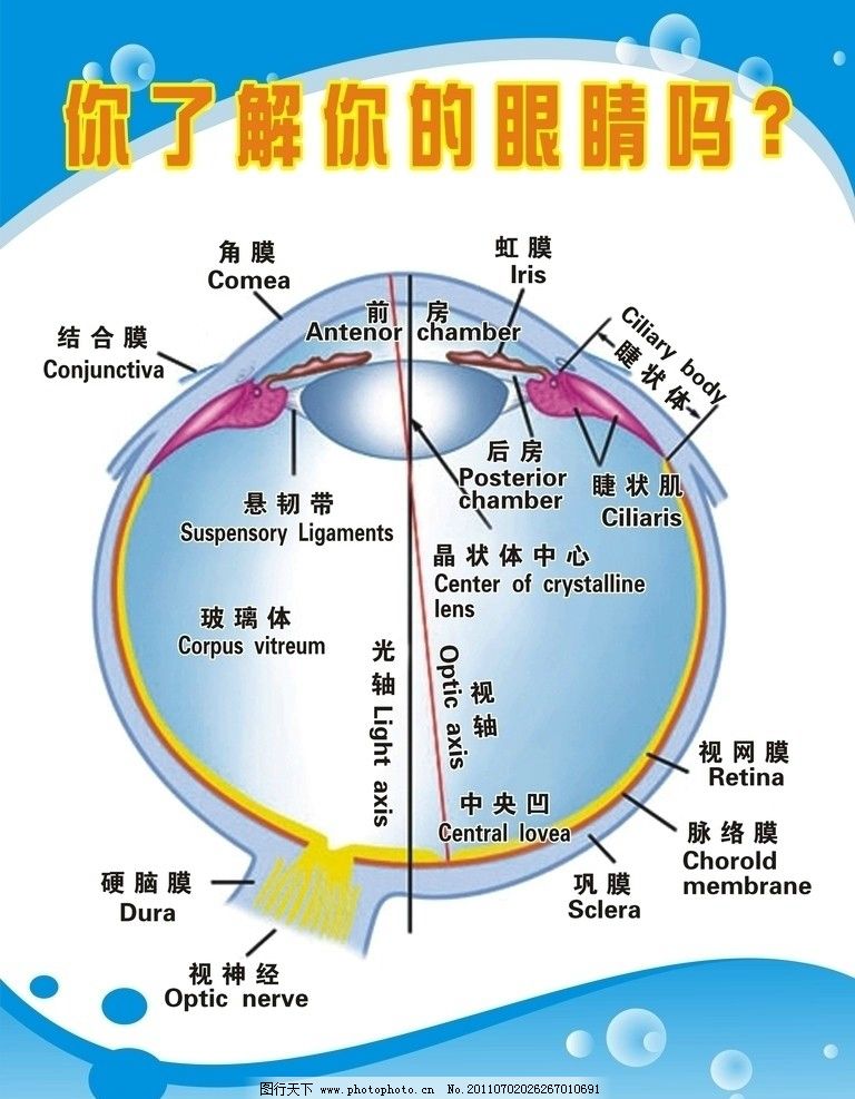 守望先锋手游怎么跳舞