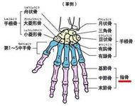 年金保险怎么买才好