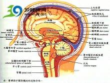 怎么用50万理财软件