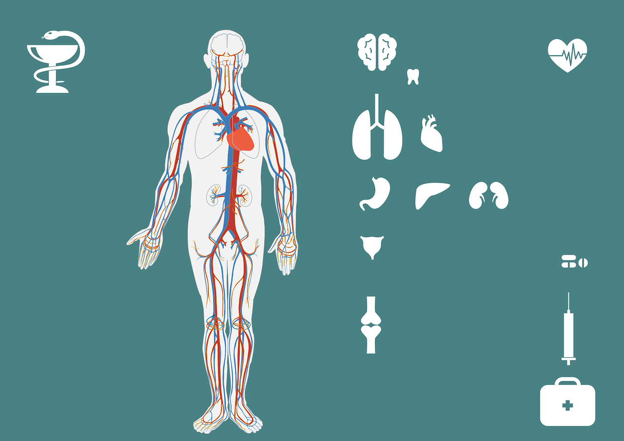 医解百科︱溺水后的正确急救方式（视频）